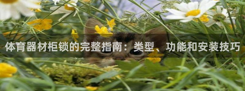 星欧娱乐app最新版本更新内容：体育器材柜锁的完整指