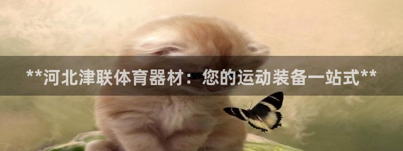 星游娱乐1官网下载：**河北津联体育器材：您的运动装