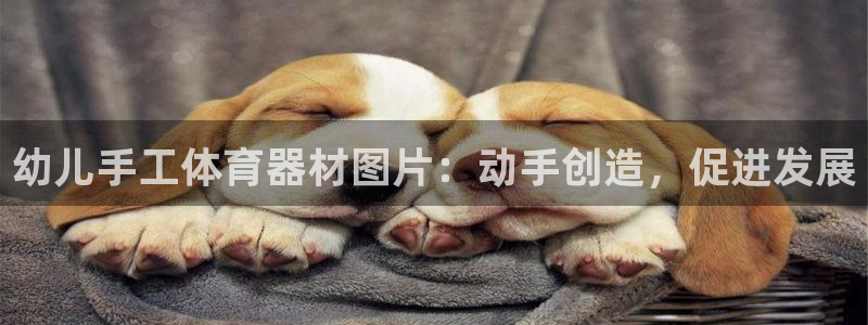 江苏星奥娱乐有限公司招聘：幼儿手工体育器材图片：动手