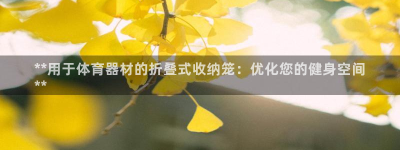 星欧娱乐扣款时间查询方法是什么样的：**用于体育器材