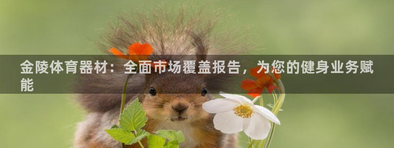 星欧娱乐扣款流程详解：金陵体育器材：全面市场覆盖报告