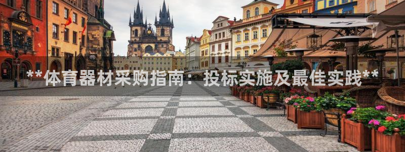 星欧娱乐彩票软件下载官网：**体育器材采购指南：投标