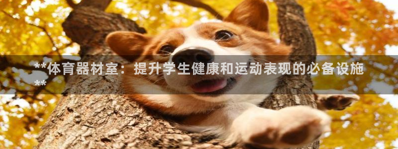 星欧娱乐挂机教程视频：**体育器材室：提升学生健康和