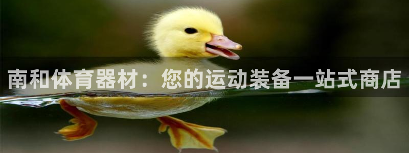 星奥娱乐艺人：南和体育器材：您的运动装备一站式商店