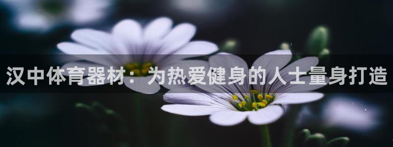 星奥娱乐集团：汉中体育器材：为热爱健身的人士量身打造