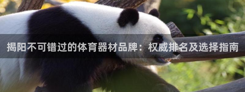 星欧娱乐是正规品牌吗：揭阳不可错过的体育器材品牌：权