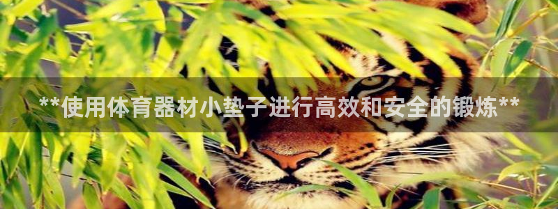 星欧娱乐公司电话号码查询：**使用体育器材小垫子进行