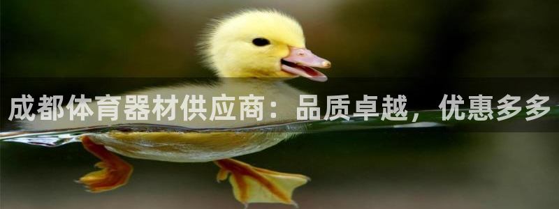 星欧娱乐雀V是什么平台