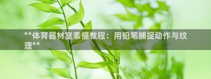 星澳娱乐公司怎么样：**体育器材室素描教程：用铅笔捕