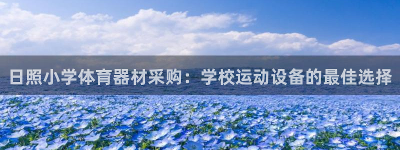 星欧娱乐最建议买的三个产品：日照小学体育器材采购：学