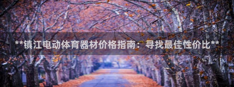 星欧娱乐是正规平台吗知乎：**镇江电动体育器材价格指