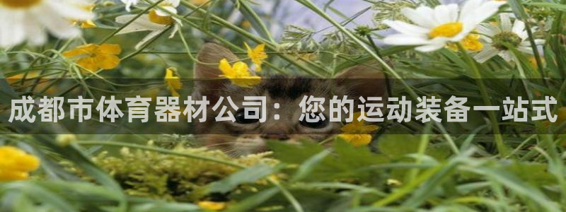 星欧娱乐平台怎么样可靠吗：成都市体育器材公司：您的运