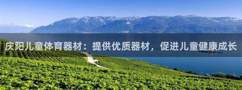 星欧娱乐热最建议去的三个地方：庆阳儿童体育器材：提供