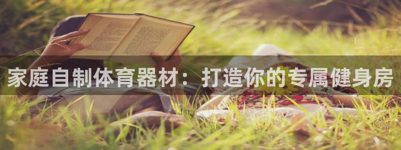 星娱乐是谁的公司：家庭自制体育器材：打造你的专属健身