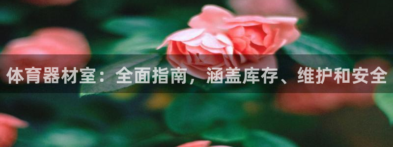 星欧娱乐扣款时间查询方法怎么查不到：体育器材室：全面