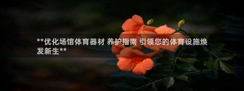 **优化场馆体育器材 养护指南 引领您的体育设施焕
