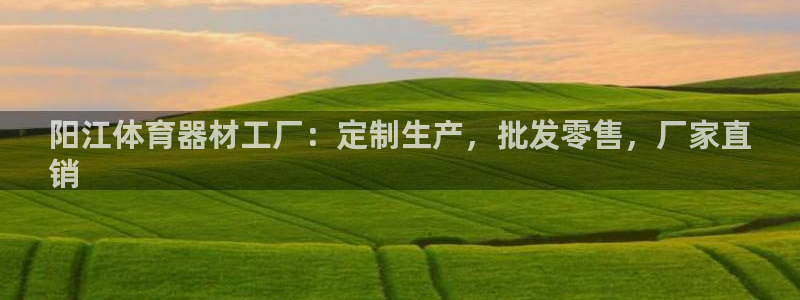 星欧娱乐官网首页入口：阳江体育器材工厂：定制生产，批