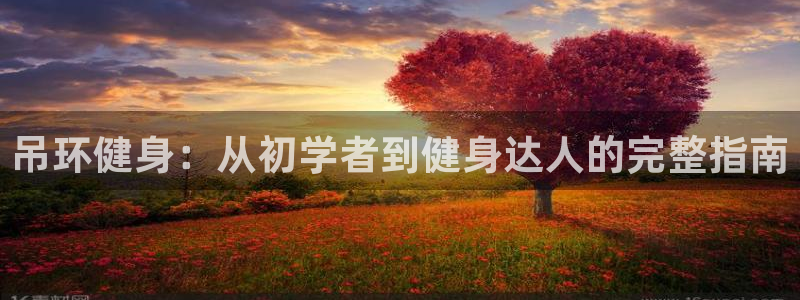 星娱乐是谁的公司：吊环健身：从初学者到健身达人的完整