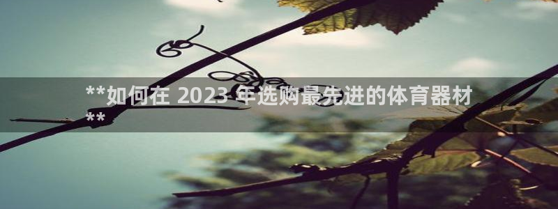 江苏星奥娱乐有限公司怎么样：**如何在 2023 年