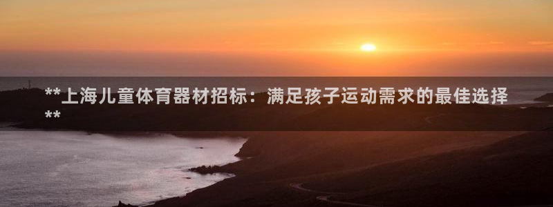 星欧娱乐公司创始人背景故事是什么：**上海儿童体育器