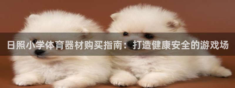 星欧娱乐官网：日照小学体育器材购买指南：打造健康安全