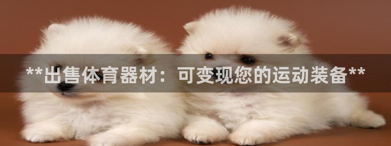 星欧娱乐巴711.112扣费记录查询方法：**出售体