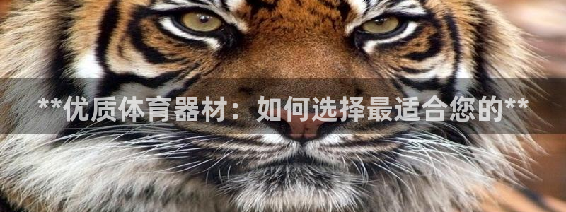 星欧娱乐官网：**优质体育器材：如何选择最适合您的*