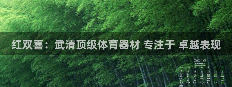 星奥娱乐怎么样知乎：红双喜：武清顶级体育器材 专注于