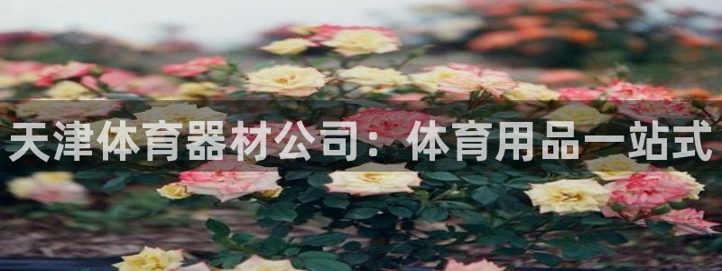 星欧娱乐属于什么档次的软件啊：天津体育器材公司：体育