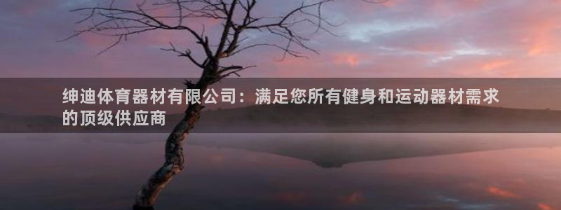 星欧娱乐平台测速线路：绅迪体育器材有限公司：满足您所