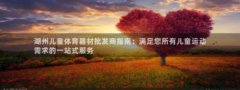 星欧娱乐彩票软件下载：湖州儿童体育器材批发商指南：满