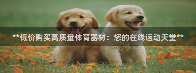 星游娱乐1官网下载：**低价购买高质量体育器材：您的