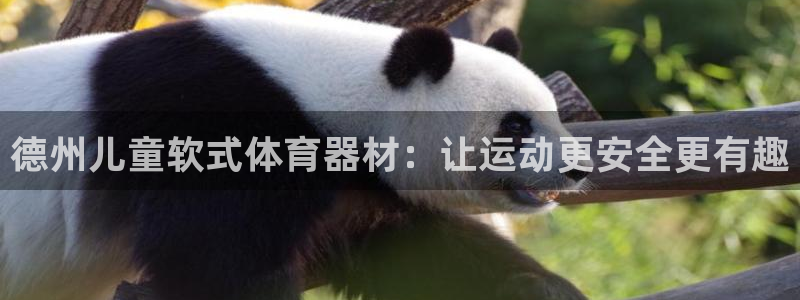 星欧娱乐扣款：德州儿童软式体育器材：让运动更安全更有