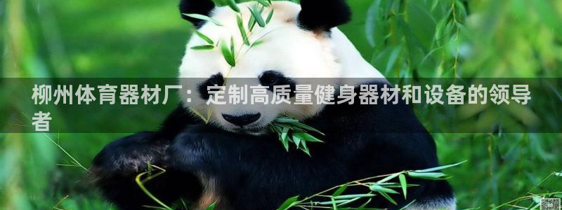 星欧娱乐平台道7O777：柳州体育器材厂：定制高质量