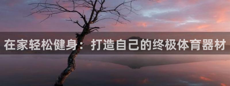 星欧娱乐挂机教程：在家轻松健身：打造自己的终极体育器