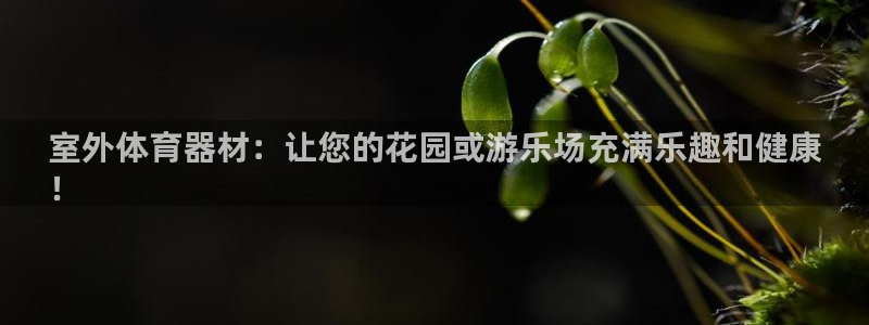 星奥娱乐微博：室外体育器材：让您的花园或游乐场充满乐