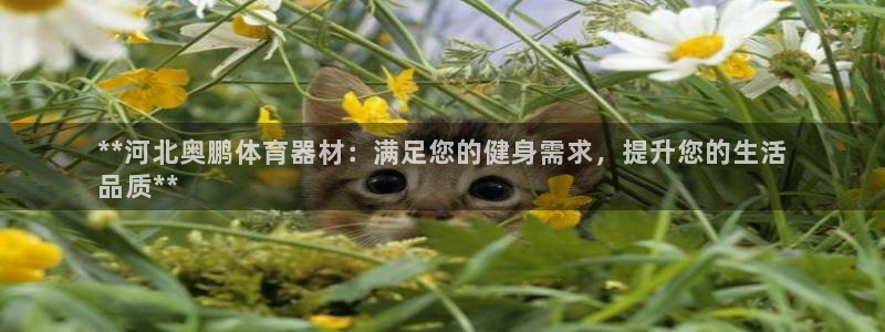 星欧娱乐测速软件下载：**河北奥鹏体育器材：满足您的