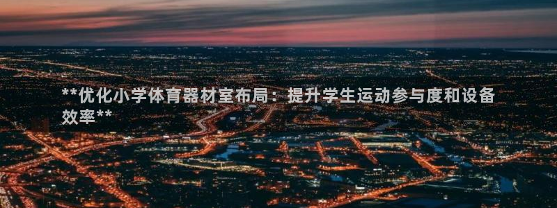 星欧娱乐的创始人背景故事介绍：**优化小学体育器材室