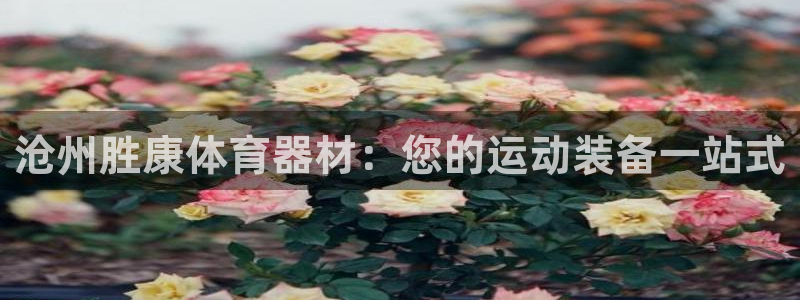 星欧娱乐是正规平台吗安全吗：沧州胜康体育器材：您的运