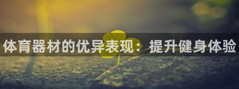 星欧娱乐是正规平台吗：体育器材的优异表现：提升健身体