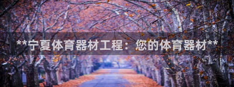 星欧娱乐最建议买的三个产品有哪些呢：**宁夏体育器材