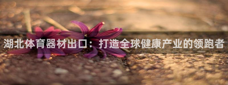 星欧娱乐公司创始人背景故事介绍：湖北体育器材出口：打