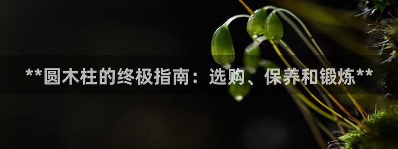 星欧娱乐官网下载：**圆木柱的终极指南：选购、保养和
