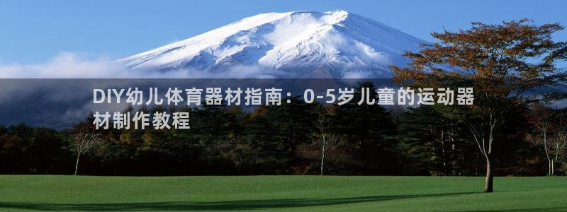 星欧娱乐是正规平台吗安全吗可靠吗：DIY幼儿体育器材