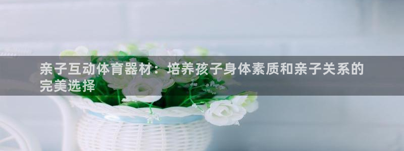 星欧娱乐扣款时间查询方法是什么意思：亲子互动体育器材