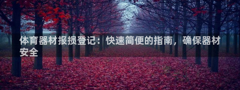 星欧娱乐公司怎么样：体育器材报损登记：快速简便的指南