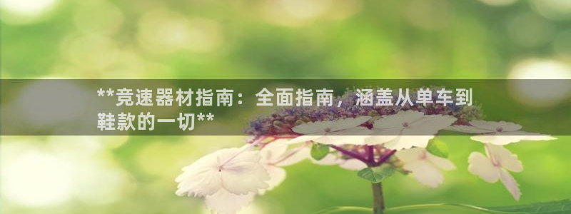 星欧娱乐联和哪个品牌合作：**竞速器材指南：全面指南