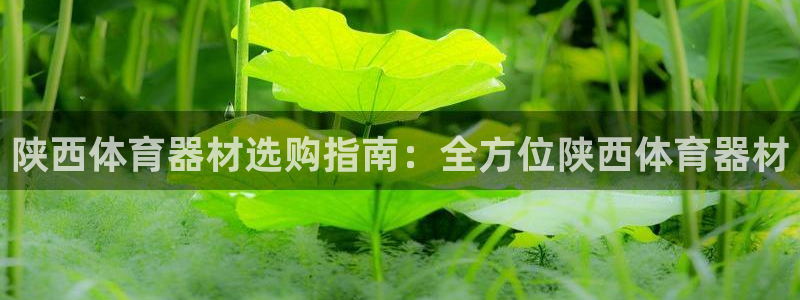 星欧娱乐官方客服联系方式查询：陕西体育器材选购指南：