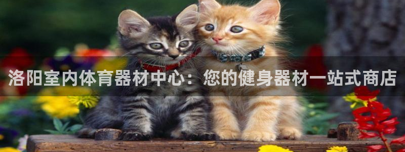 星欧娱乐联和哪个品牌合作：洛阳室内体育器材中心：您的