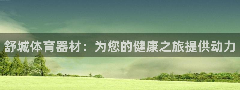 星欧娱乐扣款流程详解图片大全：舒城体育器材：为您的健
